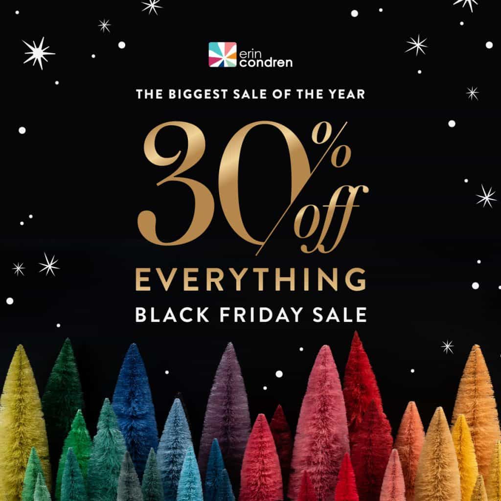 erin condren 30% off black friday