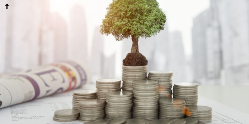 A small tree grows out of a stack of coins arranged in a pyramid shape. A rolled-up newspaper lies in the background, and blurred financial buildings and documents are visible. The image symbolizes financial growth and investment, cautioning against amateur blogging mistakes that can hinder progress.