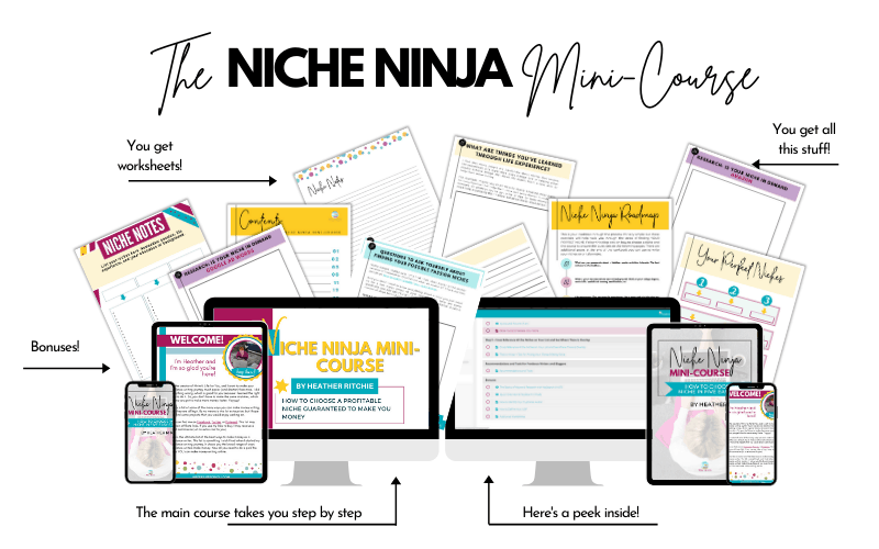 Niche Ninja Mini-Course full mockup of course