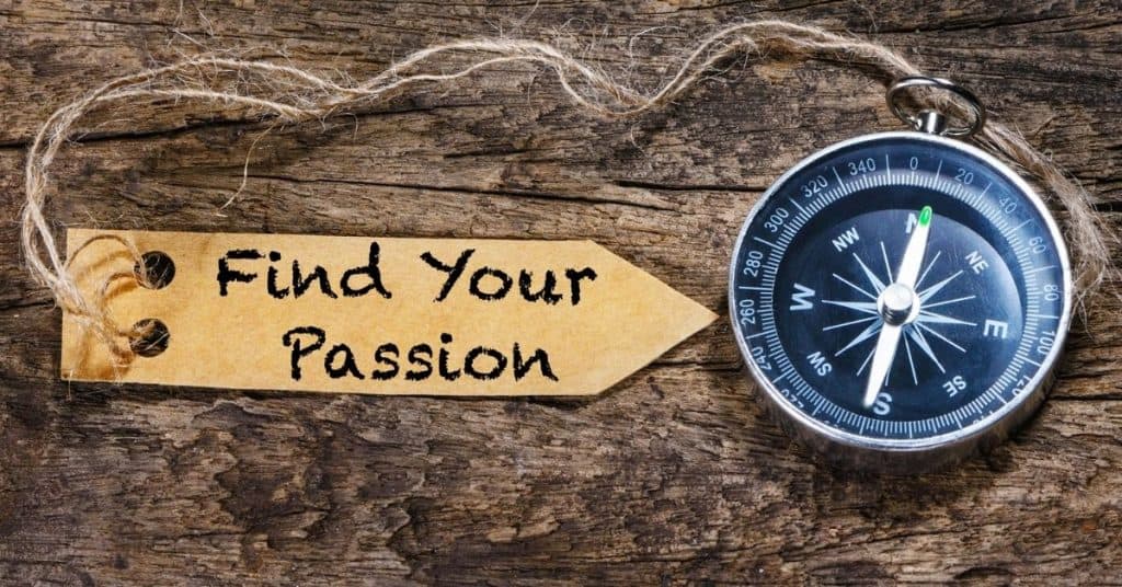 find a profitable niche passion