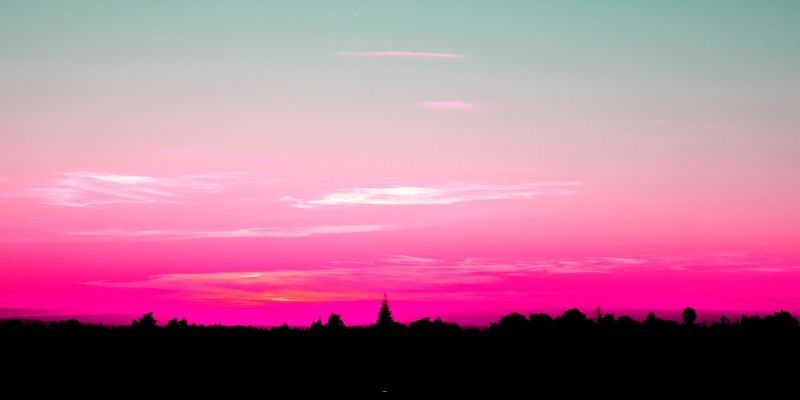 treetops with a pink sky and clouds above it